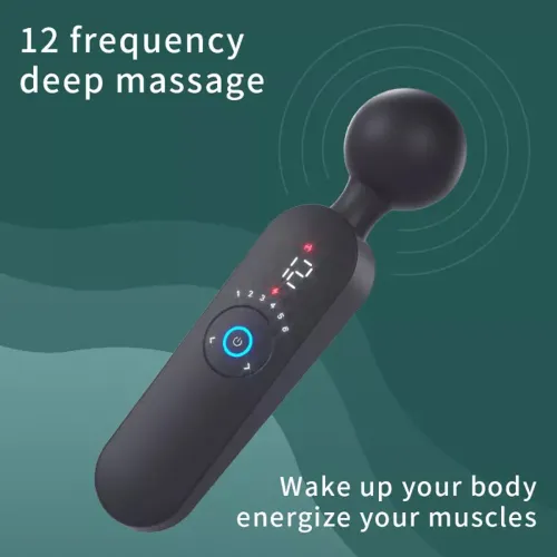 12- Speed USB rechargeable vibrator (Special Deal in Limited Time)