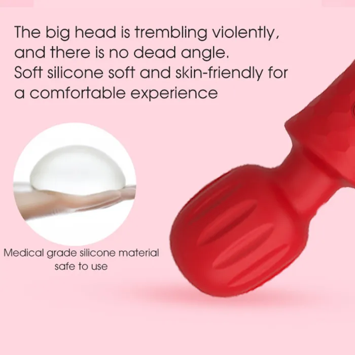 20 Frequency Massage Vibrator