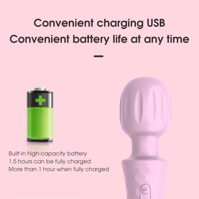 20 Frequency Massage Vibrator