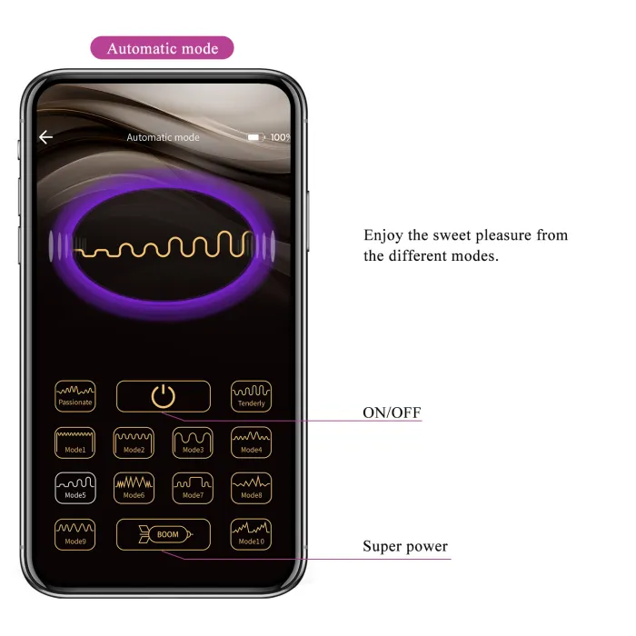 12 Function App Controlled Rechargeable Love Egg