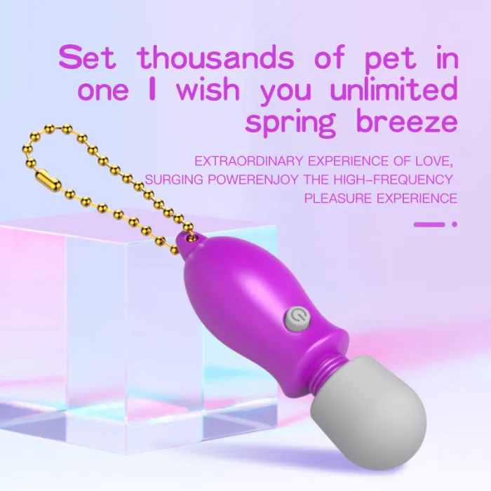 Mini Microphone Vibrator