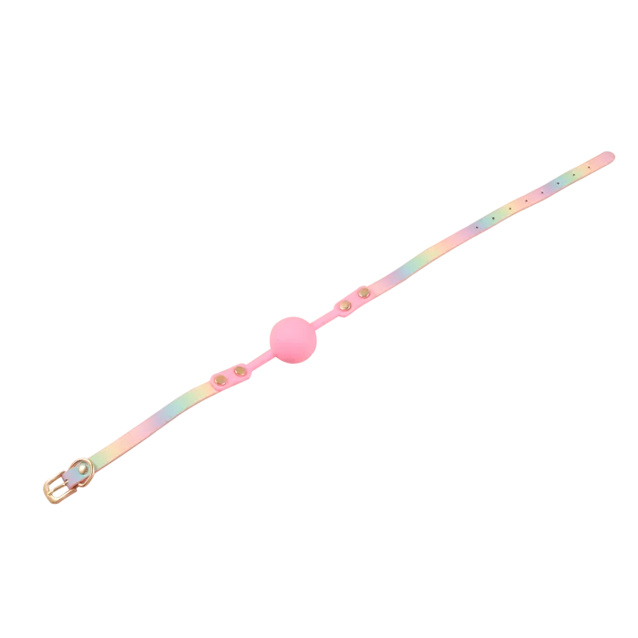 SM Rainbow 8 PCS BDSM Kits