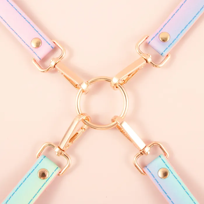 SM Rainbow 8 PCS BDSM Kits