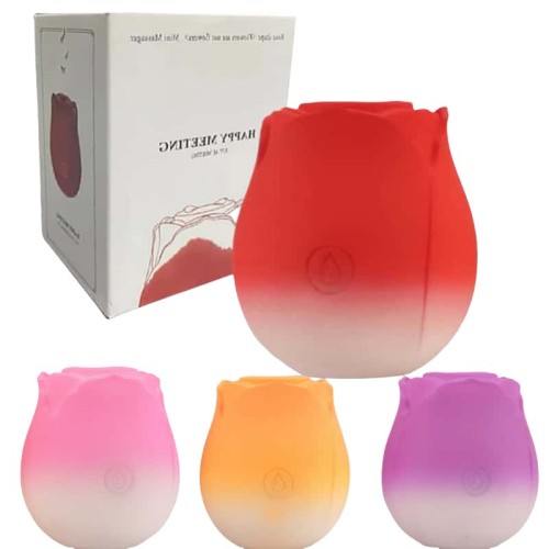 Gradient Rose Vibrator