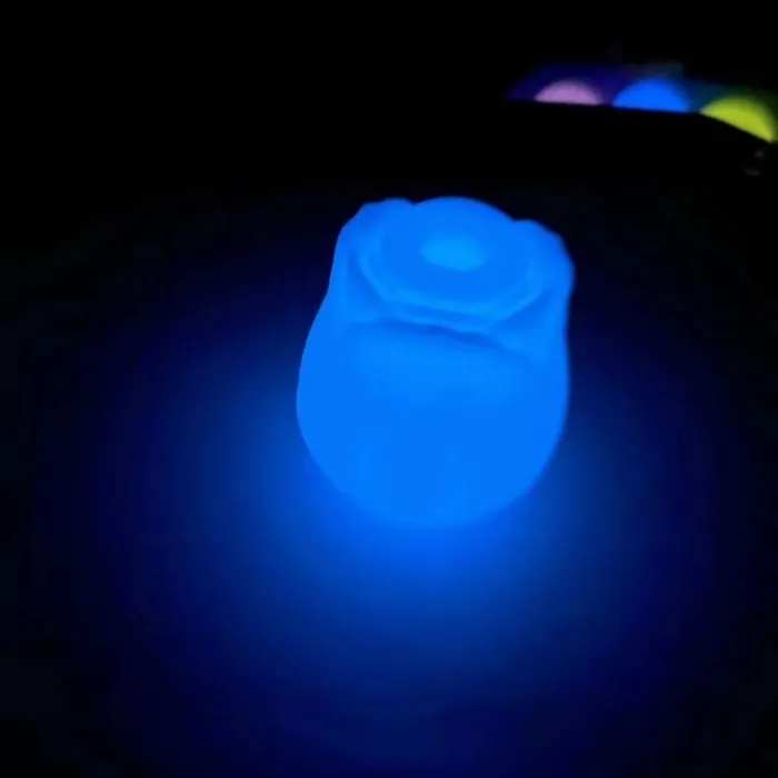 Glow-in-the-Dark 10-Function Silicone Rechargeable Clitoral Sucking Rose Sex Toy