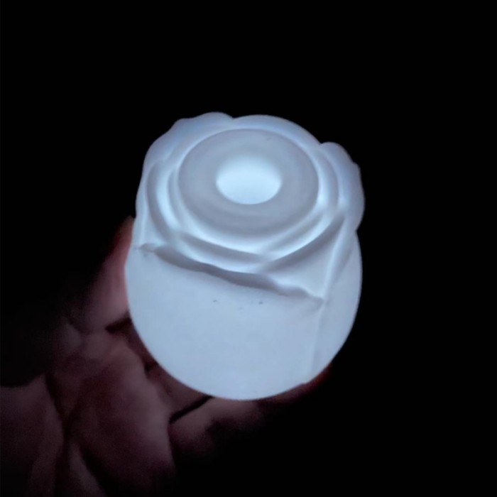 Glow-in-the-Dark 10-Function Silicone Rechargeable Clitoral Sucking Rose Sex Toy