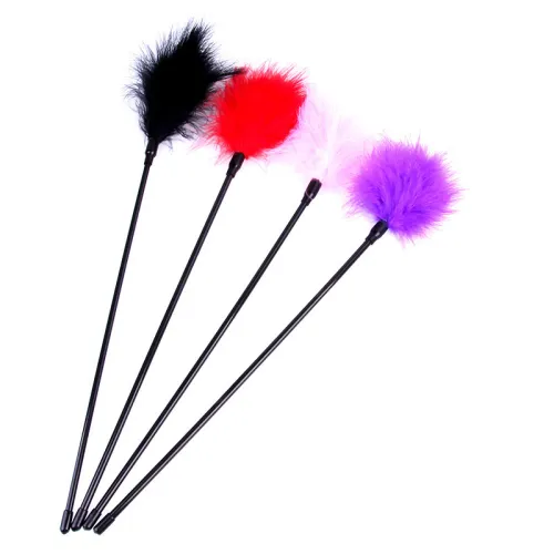 Feather Teaser Whip