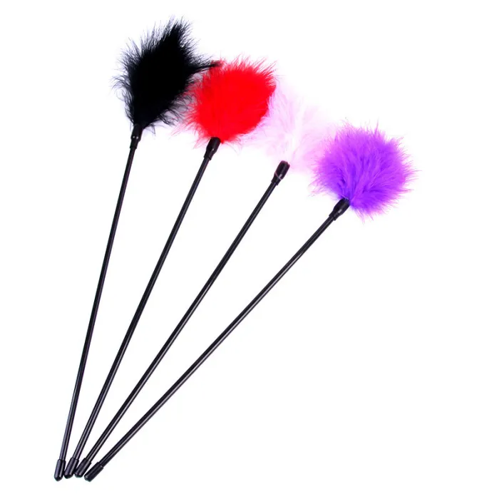 Feather Teaser Whip