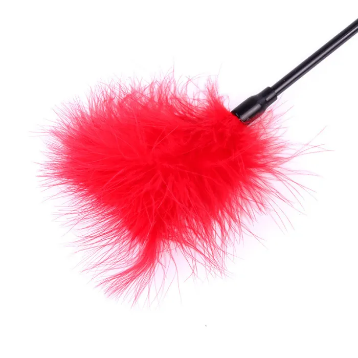 Feather Teaser Whip