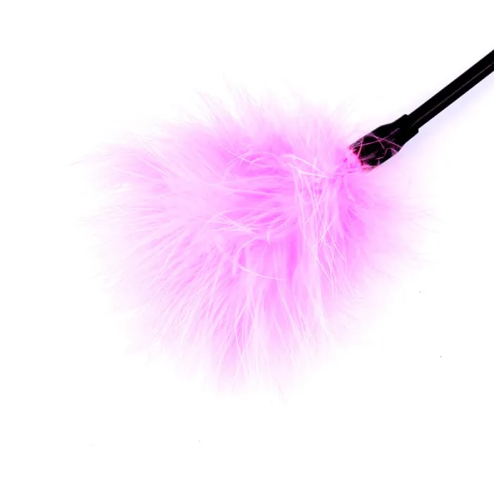Feather Teaser Whip