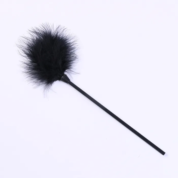 Feather Teaser Whip
