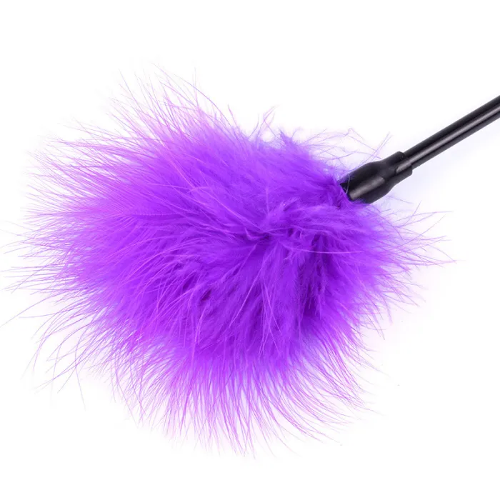 Feather Teaser Whip