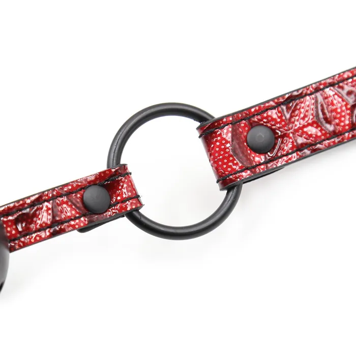 Silence & Surrender Ball Gag