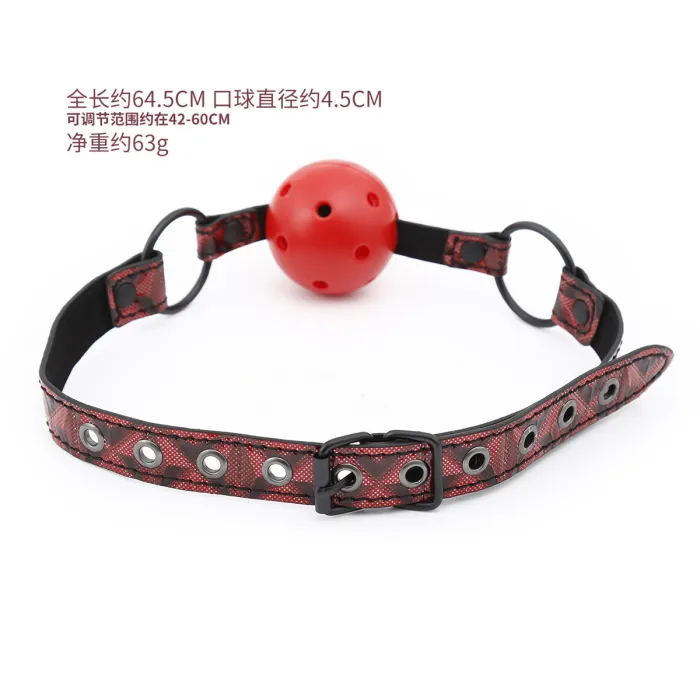 Silence & Surrender Ball Gag
