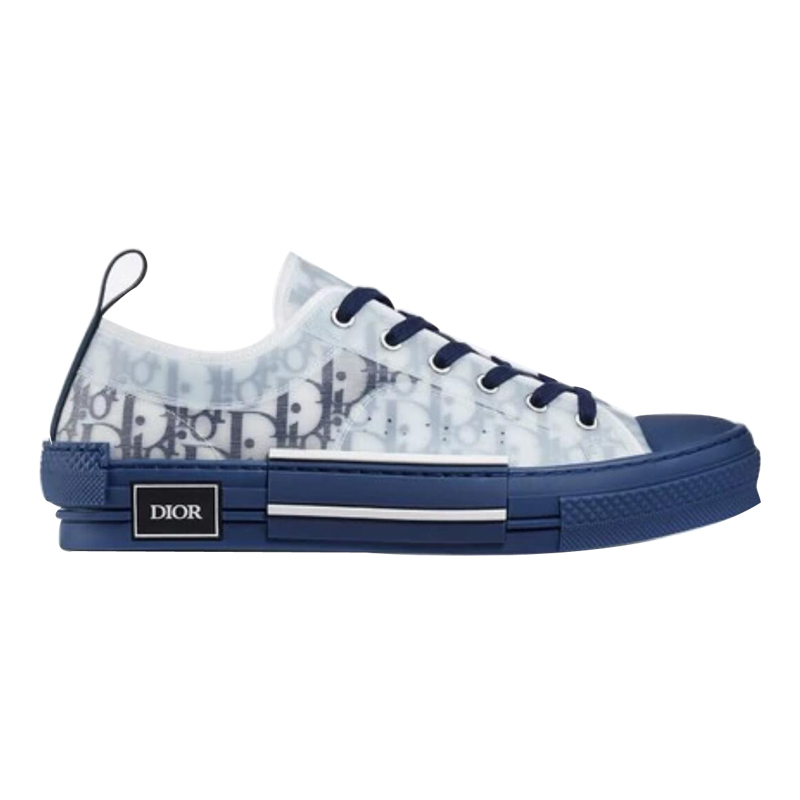 dior oblique low top