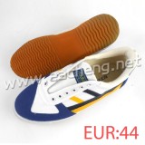 TAINUOSI Professional table tennis ping pong Shoes