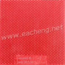 Globe MO WANG III Topsheet