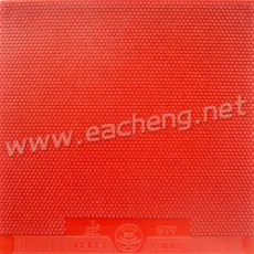 XiYing 979 Topsheet