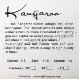 61second kangaroo