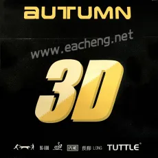 TUTTLE AUTUMN 3D