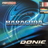 Donic Baracuda12080
