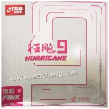 DHS Hurricane 9