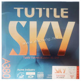 TUTTLE SKY German A380