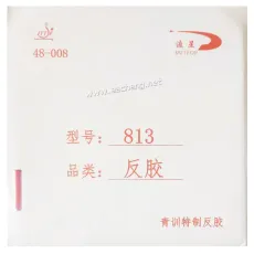 Meteor 813 training