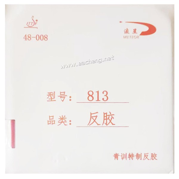 Meteor 813 training