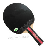 729 Golden 2-Star Racket with Case
