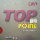 729 Top Point