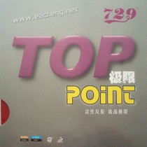 729 Top Point