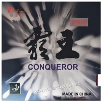 Palio Conqueror PRO