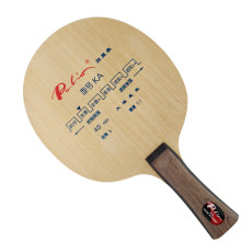 Palio KA K A