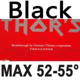 Palio THOR'S