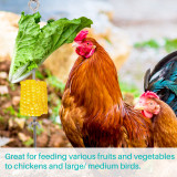 Kalevel 2pcs Hanging Feeder Toy Chicken Veggies Skewer Bird Fruit Food Vegetable Holder Chain Stainless Steel for Hens Ducks Pets
