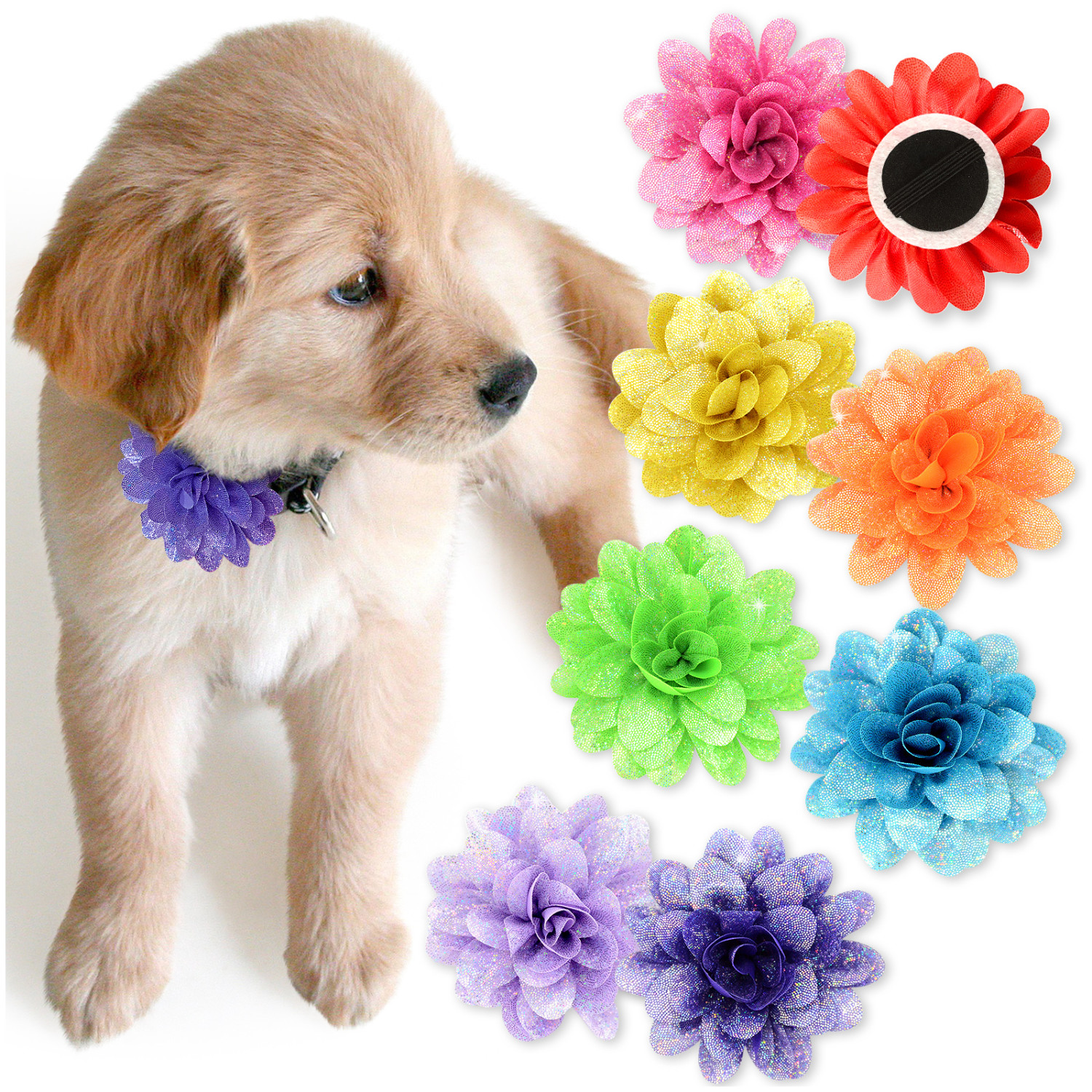 Kalevel 8pcs Dog Collar Flowers Pet Cat Collar Bow Tie Slide Charm