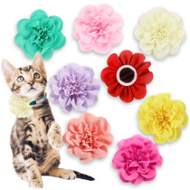 Kalevel 8pcs Pet Collar Flower Accessory Dog Flower Bow Tie Cat Collar Charms Grooming Slide Flower for Small Medium Large Dogs, 3.9in
