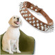 Kalevel Mushroom Rivet Dog Collar Fashionable Cat Collar Spiked Studded Pet Collar Leather with Buckle Colorful for Small Medium Large Pets