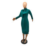 Women's fashion dress