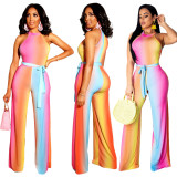 Multicolor Women Jump set