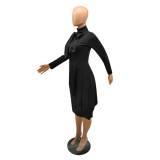 Women's fashion dress