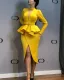 Women suit dress