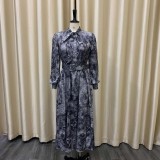 Spring Cross-border New Long Sleeve High Waist Printed Large Size Banquet Foreign Trade Dress  ATR238