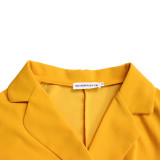 Foreign trade plus size women's clothing new fashion suit collar fashion tie waist compression pleated dress   ATR340