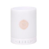 Portable Gift Home Bluetooth Speaker MP3 USB LED Lamp FM Radio Small Remote Control Wireless Quran Adjustable Colorful