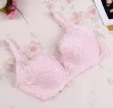 full lace push up bra for women back button fashion sexy women underwear brassiere Gather Thin Sponge modis bralette lingerie