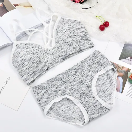 Seamless Active Bra  Set Fashion Bra Briefs Set For Women Lingerie Push Up Bralette With Pads Free Siz Sports Underwear Set