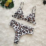 Fantoye Sexy Snake Print Bikini Women Swimwear 2019 Female Two-pieces Bikinis Sets Lady Buquini Plus Size Swimming Bathing Suit