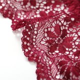 FINETOO Sexy Bralette Padded Bras For Women Transparent Wireless Bra Lace Intimates Lace Bralette Backless Brassiere Crop Tops